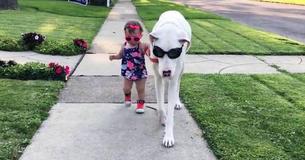 Toddler Has Adorable Friendship With Deaf Great Dane Who Escaped From Heartless Family