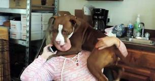 Rescued Dog Overjoyed To Be Off Chain — Refuses To Let Rescuer Talk On Phone
