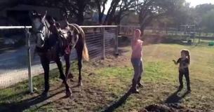 Zusjes beginnen te dansen op de muziek, maar het paard steelt de show