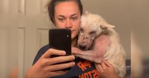 Stray Dog Goes From Scared Pup To Cuddles With Foster Mom