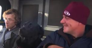 Dog Takes The Bus By Herself To Stroll Around The Park