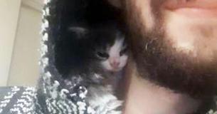 Klein geadopteerd kittentje van slechts 3 weken oud gaat zo dicht mogelijk tegen zijn baasje aan zitten
