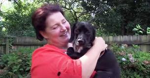 Dog Taken From Neglectful Family Arrives To Place He Can Finally Call Home
