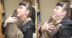 Shelter Cat That Loves Hugs Finds Forever Home After Clip Becomes Internet Hit