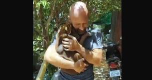 Un chiot n'arrête pas de câliner l'homme qui l'a sauvé de l'abattage