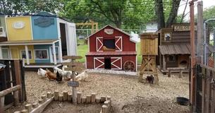 Man Builds Wife's Chickens Mini "Coop Town" And It's The Cutest