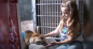 Vader is geschokt als de hond ineens naar zijn dochter uithaalt, maar komt er later achter dat hond zich voor haar heeft opgeofferd