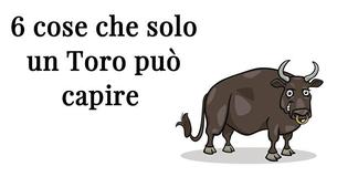 6 cose che solo un Toro può capire 