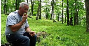 Uomo siede da solo nella foresta e si ritrova circondato da visitatori inaspettati