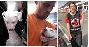 Muratore libera cane da auto chiusa con 32 gradi e litiga con la proprietaria