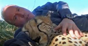 Photographer Enjoys Nap Under Tree – Then Cheetah Decides To Cuddle Up Next To Him