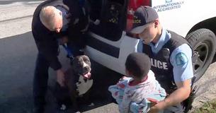 Vermiste jongen gevonden die door de straten van St. Louis zwierf - een pitbull, een zwerfhond, bleef beschermend aan zijn zijde