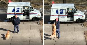 Jeden Tag hängt der Hund draußen herum, um seinen Briefträger zu umarmen