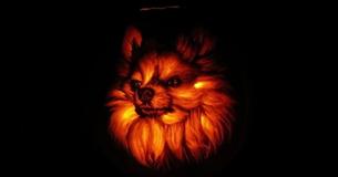 Dog Dad Spends Three Hours Carving Pumpkin To Look Just Like His Pomeranian