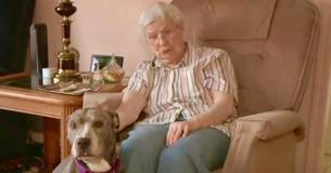 New York Nuns Open Their Doors To Give Undesired Senior Pit Bull A New Home