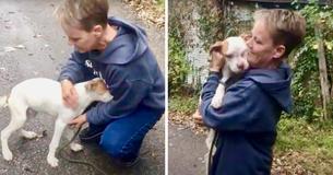 Puppy So Grateful To Be Rescued He Buries His Face in Rescuer’s Arms