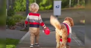 Sweet Dog Welcomes Young Foster Child To His New Home