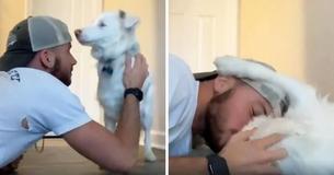 Owner Films Adorable Blind Dog's Wake Up Practice And Gains Internet Fame