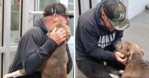 Man Drives 1,200 Miles In Order To Reunite With Lost Dog After Two Hundred Days Apart