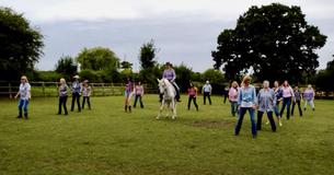 Beautiful Horse Steals Show In Country Line Dance Performance