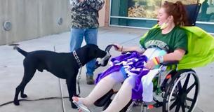 Woman From Colorado And Her 10-Month-Old Labrador Make It Out Alive Of Severe Mountain Crash