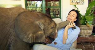Woman Rescues Orphan Elephant Who Was Washed Away In Flood – Follows Her Human Mom Into Her House