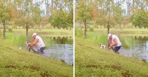 Retiree Pries Alligator's Mouth Open To Rescue Pup—What A Fortunate Dog