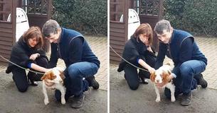 Heartfelt Moment As Couple Is Reunited With Their Cocker Spaniel After She Was Stolen Six Years Ago