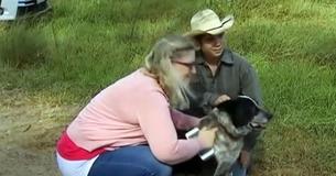 Deaf Partially Blind Dog Helped Locate Age 3 Girl Missing Overnight