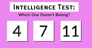 Intelligence Test Ranks Takers From Brilliant To Average To Below Average