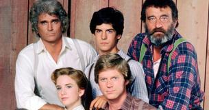 Albert de "La familia Ingalls" está mejor cada año