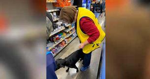 Woman Working At Grocery Store Looks Up And Sees Missing Dog In Front Of Her Register