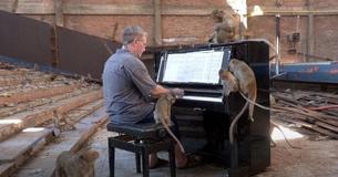 Pianist Performs For Macaque Monkeys At Abandoned Cinema