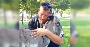Newborn Donkey Shows He Wants Hugs With Cutest Method