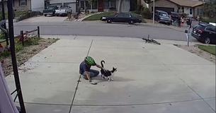 Boy Takes Time Out Of His Daily Schedule To Visit Misunderstood Cat