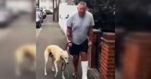 Après avoir payé une facture de plus de 300€ au vétérinaire, un propriétaire apprend que son chien boiteux l'imitait simplement