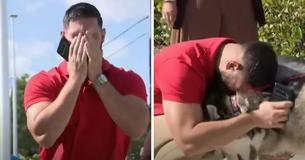 Un homme trouve de façon inattendue des chiens disparus lors d'une séance photo d'animaux de compagnie adoptés