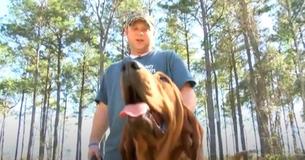 Man's Dog Becomes Hero After She Helps Find Missing Toddler In Forest