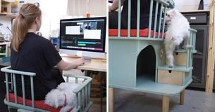 Woman Makes ‘Needy Pet’ Desk Chair That Allows Clingy Pets To Sit With Their Owners