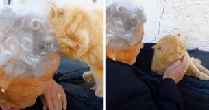 Katze, die 4 Jahre lang nach einem Erdbeben vermisst wurde, ist wieder glücklich mit ihrem betagten Besitzer vereint