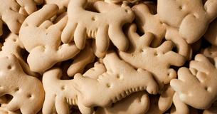 Une sociologue végétalienne s'élève contre les biscuits en forme d'animaux parce que les aliments en forme d'animaux soulignent la «suprématie humaine» 