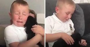 Bullied Boy Sobs Non-Stop Shortly After Grandma Gets Him Puppy