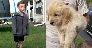 Boy From Minnesota With Prosthetic Leg Finds Best Friend In Golden Retriever Puppy Born Without Paw