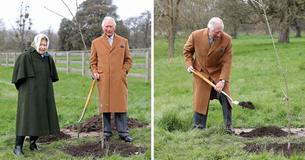 Prinz Charles pflanzt zusammen mit der Queen eine Eiche auf dem Gelände von Schloss Windsor