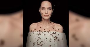 Angelina Jolie wird von Bienen umschwärmt in atemberaubenden Foto - sie hatte drei Tage lang nicht geduscht für diesen fantastischen Schnappschuss zum Weltbienentag