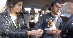 Driver Brings Joy To Surprised Riders By Bringing Adorable Puppy Along For Their Ride