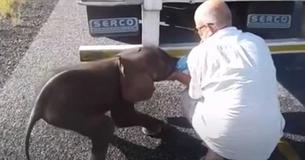 Truckers Help Thirsty 3-Week-Old Elephant Found On Roadside And Take Detour To Ensure She's Safe