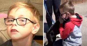 8-Year-Old Boy Sells Pokemon Card Collection In Order To Pay For Sick Dog's $700 Treatment