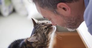 Un homme reçoit un ultimatum de sa petite amie végétalienne et se voit de se défaire de son chat