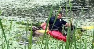 Quick-Thinking Police Officer Uses Kayak To Rescue Dog From Drowning In Muddy Pond